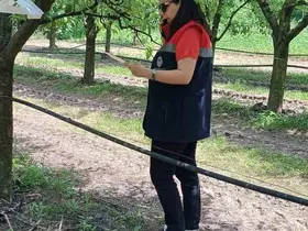 Çarşamba’da fındık üreticilerine ’kokarca’ ve ’külleme’ uyarısı
