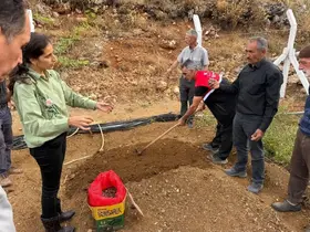 Çelikhan’da 10 üreticiye 90 kilogram salep yumrusu dağıtıldı
