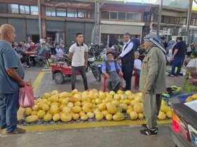Çermik kavunu pazarda tezgahta yerini aldı
