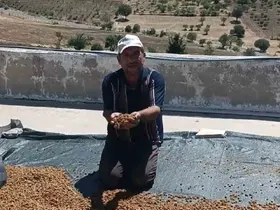 Çermik’te dutlar pazardaki yerini aldı
