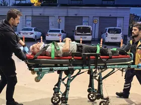 Ceviz ağacından düşen adam ağır yaralandı
