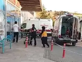 Ceviz ağacından düşen kişi yaralandı
