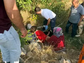Ceviz ağacından düşen kişi yaralandı
