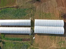 Çiftçilere yüzde 50 hibeli modern sera
