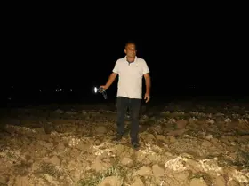 Çiftçilerin "beyaz altın" nöbeti: Bir yıllık emekleri için sabaha kadar tarlada bekliyorlar
