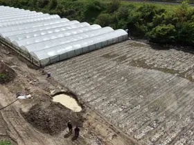 Çiftçinin taşkın nöbeti: Arazisindeki bitkiler Yeşilırmak’tan sızan suyun altında kaldı

