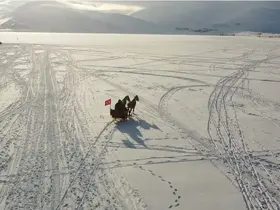 Çıldır Gölü’nde atlı kızak heyecanı başladı
