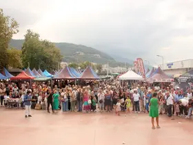 Çınarcık’ta 4 ton hamsi ikram edildi
