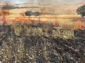Çınar’da tarla yangını
