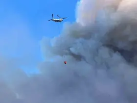 Çine orman yangınına 4 helikopter 2 uçak havadan müdahale ediyor
