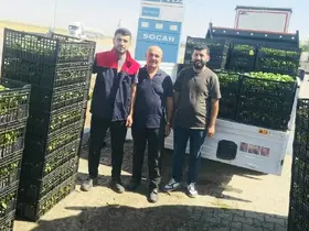 Cizre’de çiftçilere yüzde 75 hibeli fide desteği
