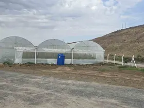 Cizre’de örtü altı yetiştiriciliğine devlet eli
