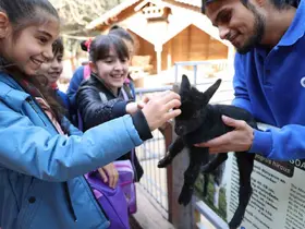 Çocuklar hayvanları ve yaban hayatını tanıma fırsatı buldu
