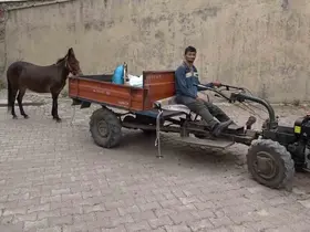 Çok sevdiği katırını peşinden hiç ayırmıyor
