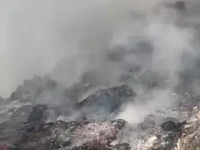 Çöp döküm alanındaki yangın ormana sıçradı
