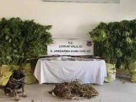 Çorum’da jandarmadan uyuşturucu tacirlerine operasyon: 2 tutuklama

