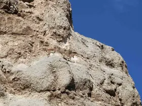Dağ keçilerinin kayalıklardaki oyunu kameralara yansıdı
