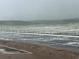 Dağlar beyaza büründü, yol ulaşıma kapandı
