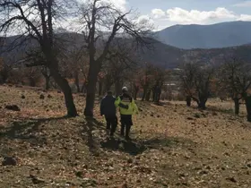 Dağlık alanda kaybolan genci jandarma buldu