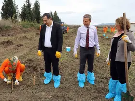 Dalaman Açık Ceza İnfaz Kurumunda 10 dekar alana Sakız ağacı fidanı dikildi
