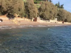 Datça’da bahar havası sürüyor
