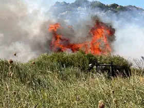 Datça’da makilik alanda yangın: "2 dönüm makilik zarar gördü"

