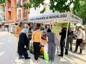 Datça’da ‘Yeşil Vatan’ seferberliği
