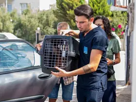 Davutlar Mahallesi’ne Kedi Kısırlaştırma Merkezi açıldı
