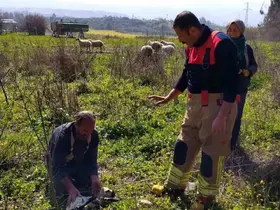 Defne’de kuyuya düşen kuzuyu itfaiye kurtardı
