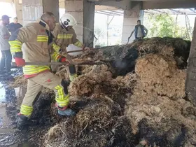 Defne’de samanlık yangını
