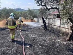 Defne’de zeytinlik alanda yangın yaşandı
