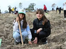 Demirci’de 2 bin fidan toprakla buluştu
