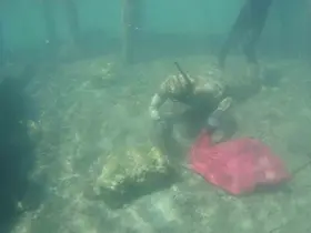 Deniz dibi temizliği Gümüşlük’te devam etti
