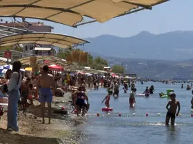 Deniz sezonunun bitmesine yakın Bursa’nın sahillerinden sevindiren haber
