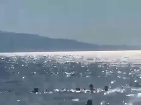 Denizde dubaların dışına çıkan baba ve iki kızı ölüm tehlikesi atlattı
