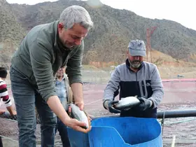 Denizi olmayan Erzurum’da yılda 300 tona yakın balık üretiyorlar
