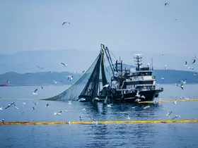 Denizlerde av yasağı 15 Nisan’da başlıyor
