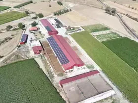 Denizli tarımı desteklerle güçleniyor
