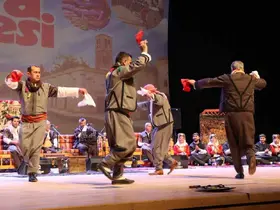 Denizli’de düzenlenen "Urfa Sıra Gecesi" ile kültürler buluştu
