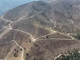 Denizli’de yanan 4 bin 108 hektar orman sahasında 2,5 milyon fidan yeşerecek
