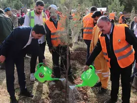 DEPSAŞ Enerji’den Makam Dağı’na 3 bin fidanlık yeşil dokunuş
