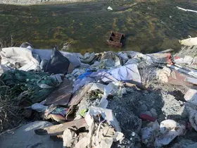 Dereye kamyon dolusu atık malzeme döktüler: Doğa katliamı kameraya yansıdı
