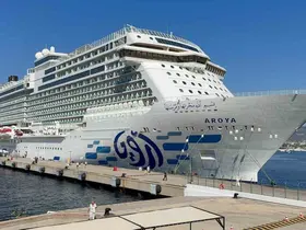 Dev kruvaziyer Bodrum’a demirledi

