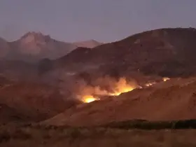Develi’de ağaçlık alana yakın bölgede ot yangını
