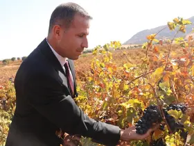 Dicle’de modern bağcılığa yönelik yüzde 50 hibeli tarım aletleri desteği başvurusu başladı
