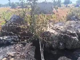 Dicle’de örtü yangını: Onlarca meyve ağacı alevlere teslim oldu
