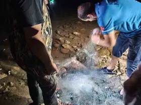 Didim’de sahipsiz balık ağlarına el konuldu
