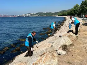 Dilovası’nda Marmara Denizi için sahil temizliği yapıldı
