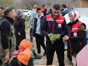 Dinar’da ‘Kekik Yetiştiriciliği Projesi’ devam ediyor
