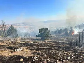 Dinar’da orman yangını
